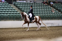 Class 285 Region 3 HA/AA English Show Hack Championship ATR