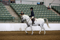 R319_WalkTrot_FriAM_0037