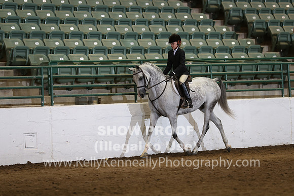 R319_WalkTrot_FriAM_0039