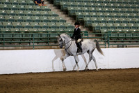 R319_WalkTrot_FriAM_0041