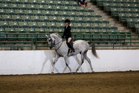R319_WalkTrot_FriAM_0043