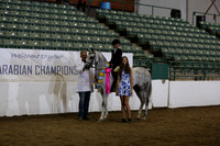 R319_WalkTrot_FriAM_0049