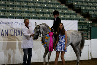 R319_WalkTrot_FriAM_0047