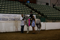 R319_WalkTrot_FriAM_0051
