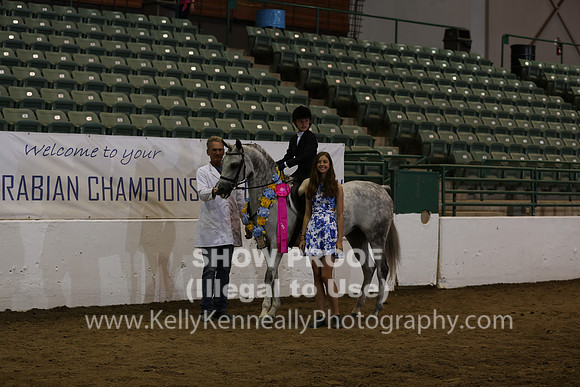 R319_WalkTrot_FriAM_0051