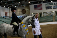 R319_WalkTrot_FriAM_0053