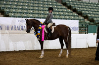 R319_WalkTrot_FriAM_0057