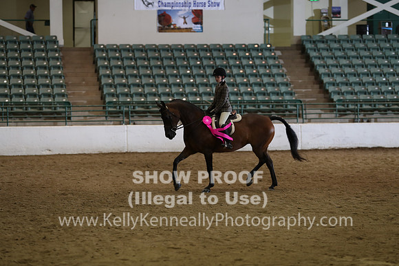 R319_WalkTrot_FriAM_0061