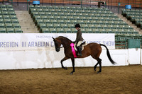 R319_WalkTrot_FriAM_0065