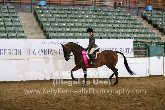 R319_WalkTrot_FriAM_0065
