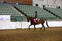 R319_WalkTrot_FriAM_0063