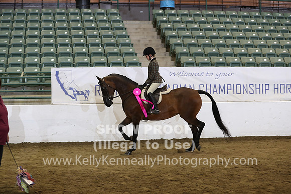 R319_WalkTrot_FriAM_0067