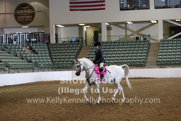 R319_WalkTrot_FriAM_0069