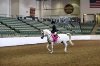 R319_WalkTrot_FriAM_0071