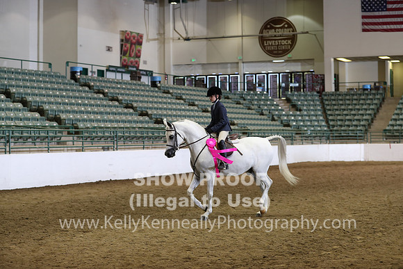 R319_WalkTrot_FriAM_0071
