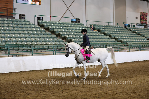 R319_WalkTrot_FriAM_0073