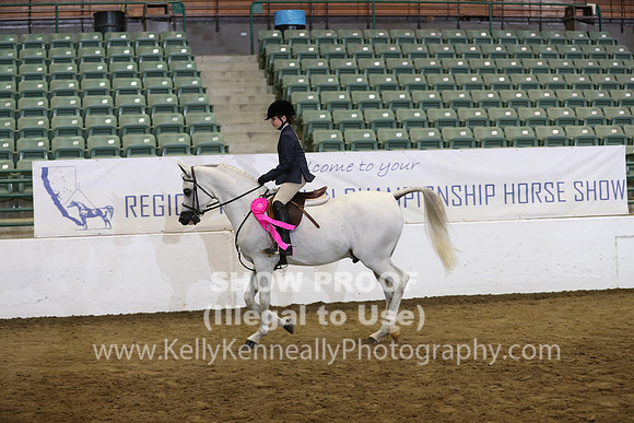 R319_WalkTrot_FriAM_0077