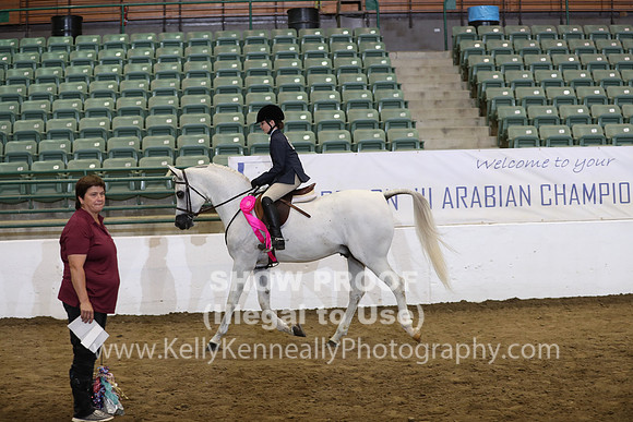 R319_WalkTrot_FriAM_0079