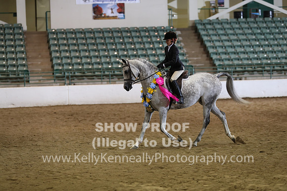 R319_WalkTrot_FriAM_0081