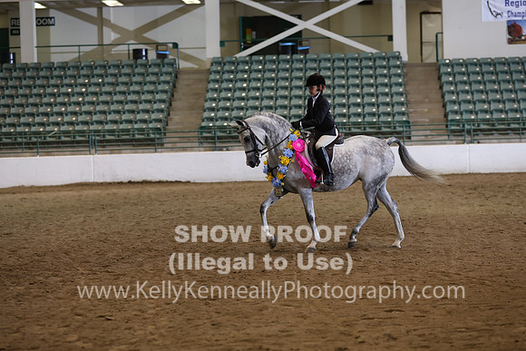 R319_WalkTrot_FriAM_0083
