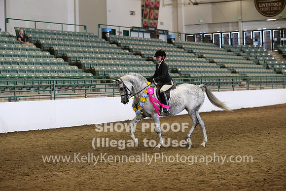 R319_WalkTrot_FriAM_0087