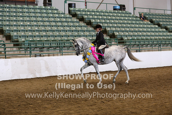 R319_WalkTrot_FriAM_0089