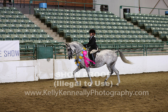 R319_WalkTrot_FriAM_0091
