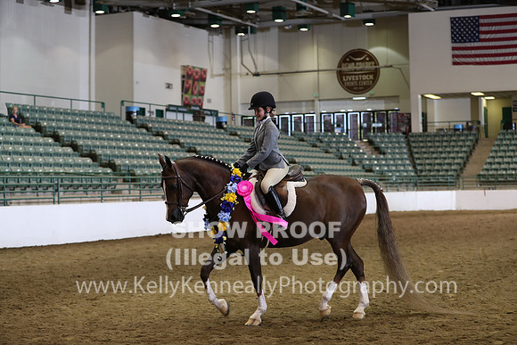 R319_WalkTrot_FriAM_0099