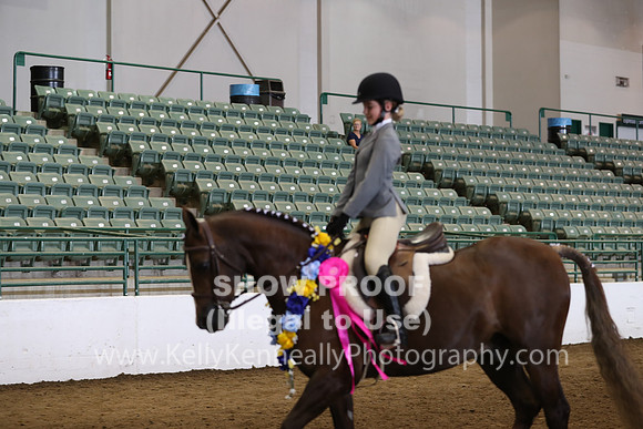R319_WalkTrot_FriAM_0101