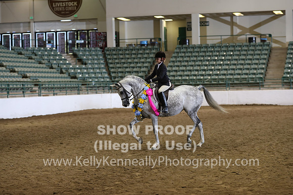 R319_WalkTrot_FriAM_0085