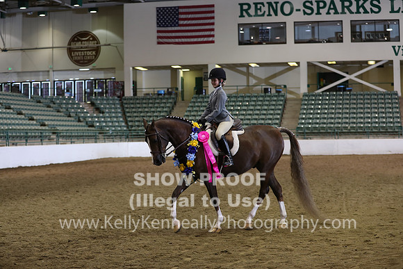 R319_WalkTrot_FriAM_0097