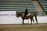 Class 289 Region 3 Western Horsemanship Championship AATR 19 yrs/Over