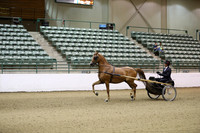 R319_FriPM_0023