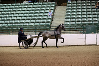 R319_FriPM_0026