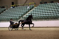 R319_FriPM_0027