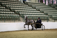 R319_FriPM_0043