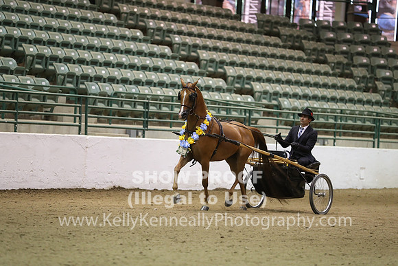 R319_FriPM_0062