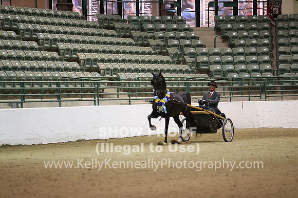 R319_FriPM_0088