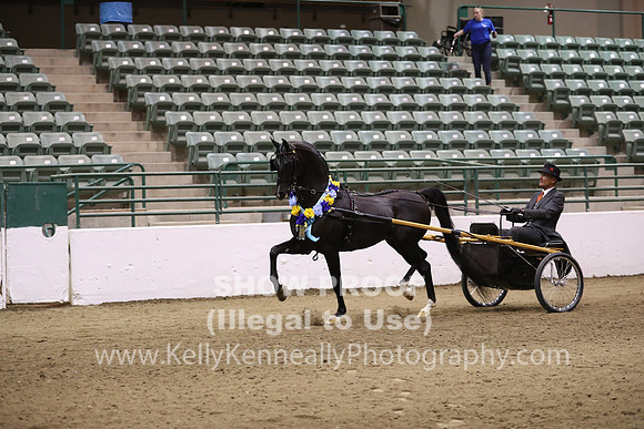 R319_FriPM_0097