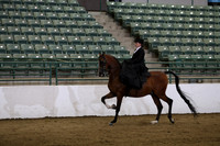 R319_FriPM_0217