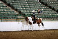 Class 293 Region 3 HA/AA Western Pleasure Championship JTR 18 yrs/Under