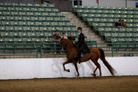 R319_FriPM_0289