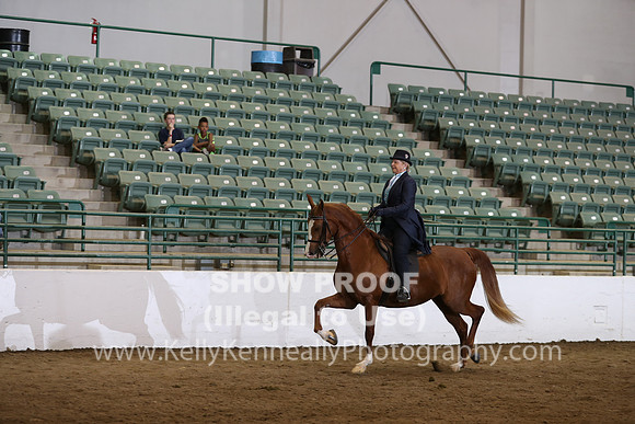 R319_FriPM_0294