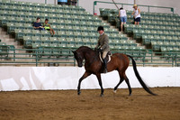 Class 802 Region 3 FUTURITY HA/AA Hunter Pleasure Maturity 5 yrs & Under