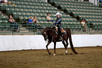 Class 297 Region 3 Arabian Western Pleasure Championship AAOTR 19 yrs & Over