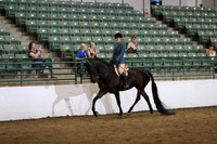 R319_FriPM_0599