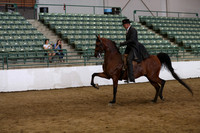 R319_FriPM_0733