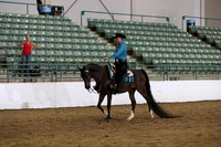 Class 299 Region 3 HA/AA Western Pleasure Championship AATR Select