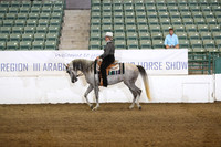 Class 804 Region 3 FUTURITY HA/AA Western Pleasure Maturity 5 yrs & Under
