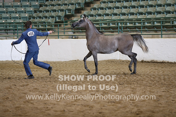 R319_FriPM_1553